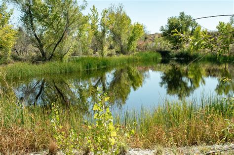 springs preserve las vegas jobs.